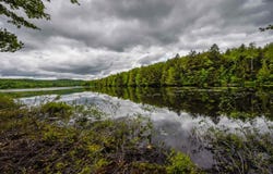 Tyanoga Road, Whitingham, VT 05361