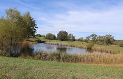 The Timbers, West Plains, MO 65775