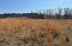 Wightman Rd., Chase City, VA 23924