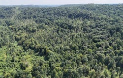 Silicon Drive, Philippi, WV 26416