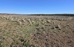 16 1/2 Road, Glade Park, CO 81523