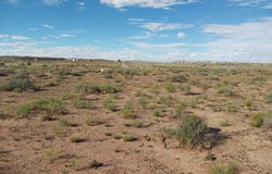 4809 Cherry Hills Drive, Winslow, AZ 86047