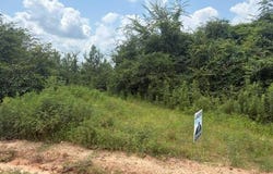 Pond Creek Rd, Luverne, AL 36049