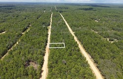 Neilsen Ave, Interlachen, FL 32148