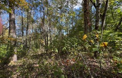 Balsam Dr, Newland, NC 28657