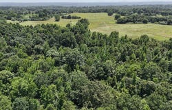 Polk Road 283, Hatfield, AR 71945