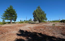 Black Bear Rd. lot: 84 Unit 7-2, Weed, CA 96094