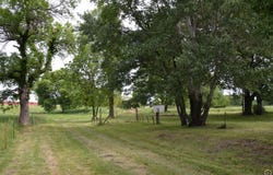 728 E Santa Fe Ave, Burlingame, KS 66413