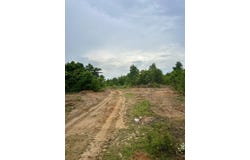 Highway 124, Enterprise, AL 36330