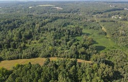 Hwy 54, PARIS, TN 38242