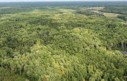 Sandbar Lane lot: A, Merrifield, MN 56465