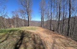 Roan Springs Road, Roan Mountain, TN 37687