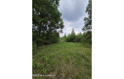 1542 Wellman Drive, Brookhaven, MS 39601