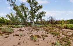 100 County Road 97, Chimayo, NM 87522