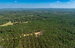 16,17,20 Livingston Road SW, Rome, GA 30161