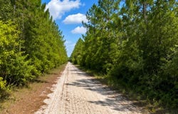 ROCHELLE Lane, CRESTVIEW, FL 32539