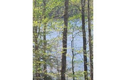 458 CO RD 4036, Arley, AL 35541