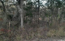 1531 NE 123RD AVENUE, WILLISTON, FL 32696