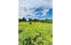 Hawks Drive lot: Parcel D, Republic, MI 49879