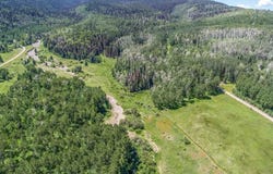 3170 San Juan Vista Road, Placerville, CO 81430