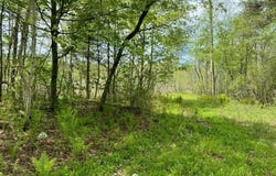 XYZ County Road 39, Willow River, MN 55795