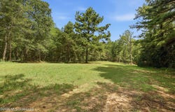 478 Potluck Road, Canton, MS 39046