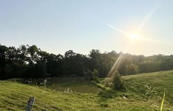 Wilkerson Road, Adolphus, KY 42120