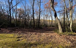 Crooked White Oak Tr lot: 55,26,27,28, Hillsville, VA 24343