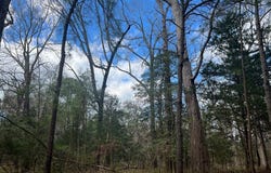 HARBOUR LN lot: 3A, EASTVILLE, VA 23347