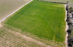 Reed Road, Thackerville, OK 73459