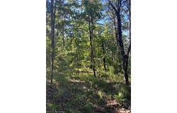 Tract 5 SE 1083 Rd Ave, Red Oak, OK 74563