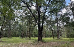 Tanner Williams Road, Lucedale, MS 39452