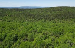TR 53,54,58 PINE TREE TRAIL, Albion, OK 74571