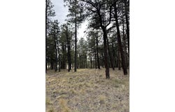 46 Marmot Drive, Ridgway, CO 81432