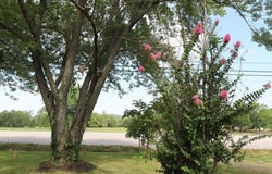 602 N Centennial, West Fork, AR 72774