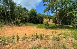 Toa Alta, Toa Alta, PR 00953