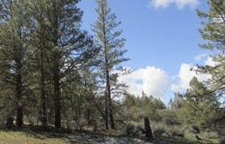 Partin Drive, Beatty, OR 97621