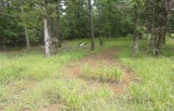 944 Whipporwill, Murchison, TX 75778