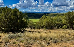 2403 Wrangler Way, Durango, CO 81301
