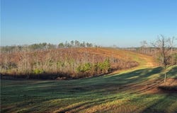 COUNTY ROAD 278, FIVE POINTS, AL 36855
