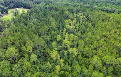 Morgan Road, Waycross, GA 31503