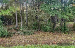 135 Private Road 8372, Buna, TX 77612