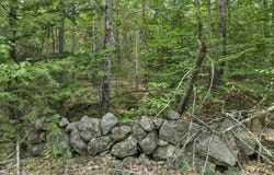 Vail Road lot: 76, Barnstead, NH 03225