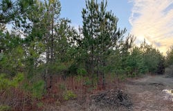 Airport Road, Carthage, MS 39051