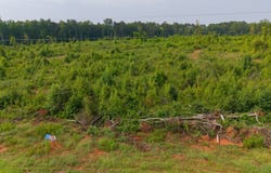 Haley Road lot: 16, Jackson, GA 30233