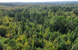 Palmetto Loop, Bismarck, AR 71929-0000