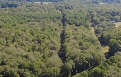TBD Edmondson Rd lot: 3, Harleton, TX 75651