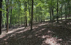 16 ROLLING ACRES Drive, OLD FIELDS, WV 26845