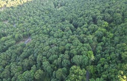 ROLLY RD, MOUNT JACKSON, VA 22842