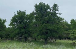 3040 Cutter Circle, May, TX 76857